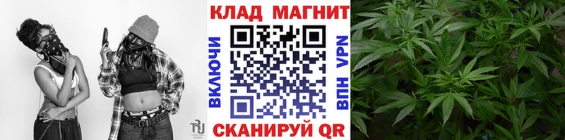 МЕФ Николаевск