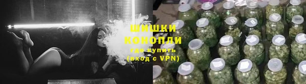 PSILOCYBIN Мегион