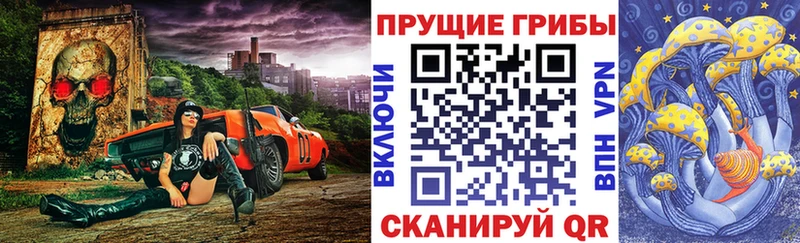 Псилоцибиновые грибы Psilocybe  ссылка на мегу   Николаевск 